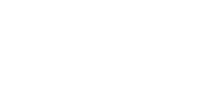 EY A352 Partner Logo